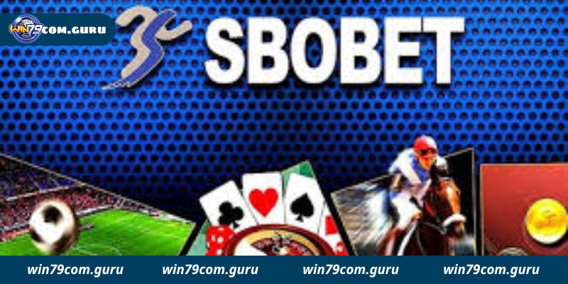 Giới thiệu sảnh cá cược thể thao SBOBET Win79